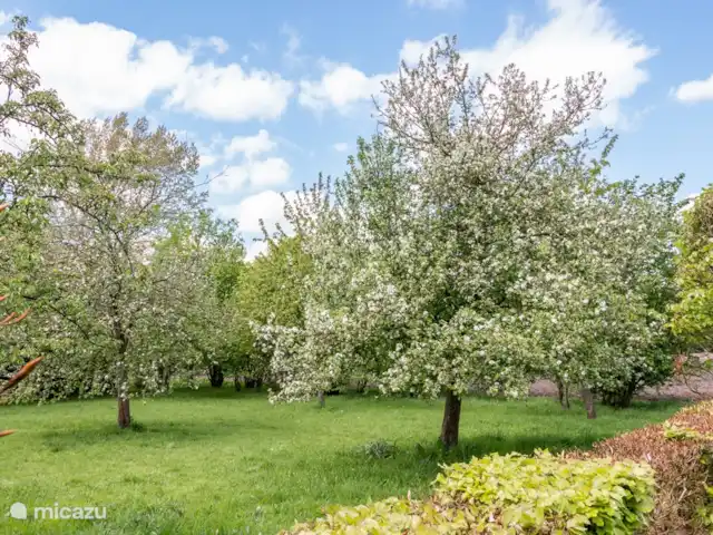 Le garde-frontière | Pays-Bas, Gueldre, Aalten - maison de vacances Verger, attenant au jardin