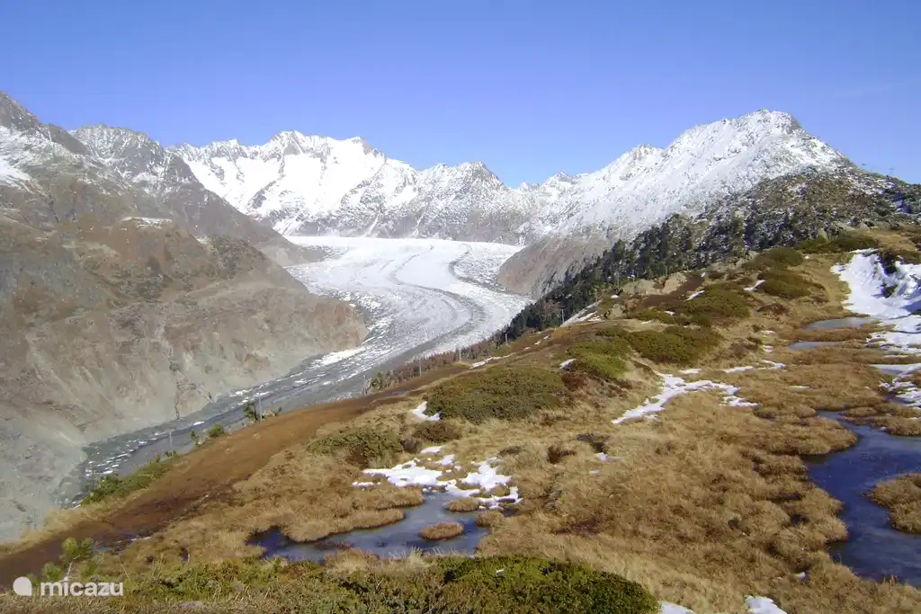 El glaciar Aletsch