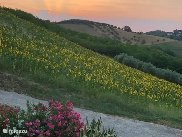 Dora en Italia, Abruzos, Penne - villa Temprano en la mañana, vista desde el dormitorio.