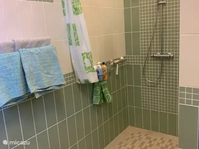 Dora en Italia, Abruzos, Penne - villa Caminar en la ducha
