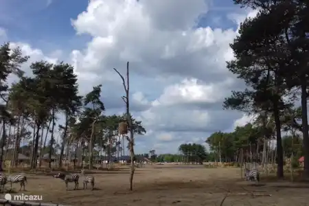 Vakantiehuis Nederland, Noord-Brabant, Hilvarenbeek stacaravan Botswana 232 Safaripark