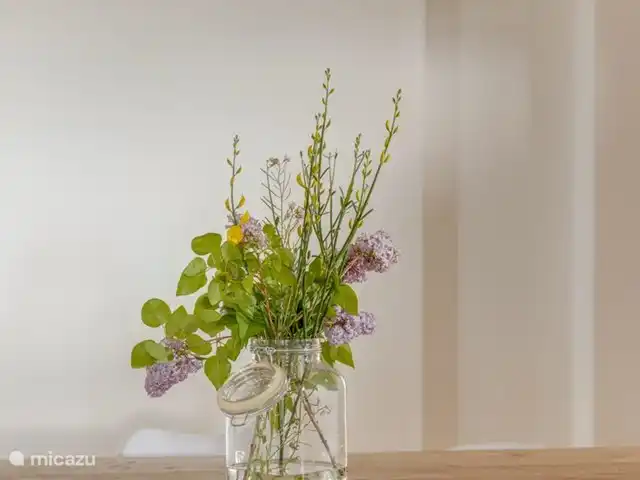 Villa Fiore | Italie, Marche, Falerone - villa Détail de la Villa Fiore