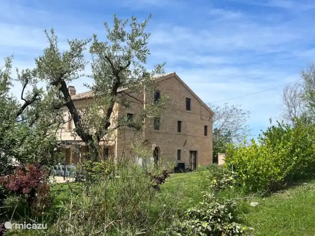 Villa Fiore | Italie, Marche, Falerone - villa Arrière de la Villa Fiore, avec le
Sur le côté gauche se trouve une grande terrasse couverte avec table à manger, cuisine extérieure et canapés de salon.