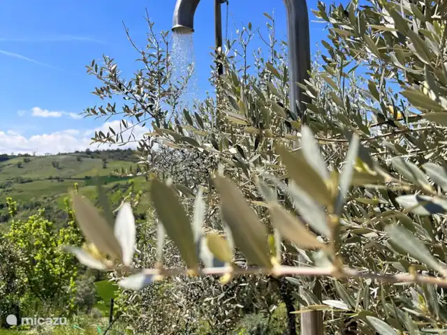 Villa Fiore | Italie, Marche, Falerone - villa Douche extérieure Villa Fiore