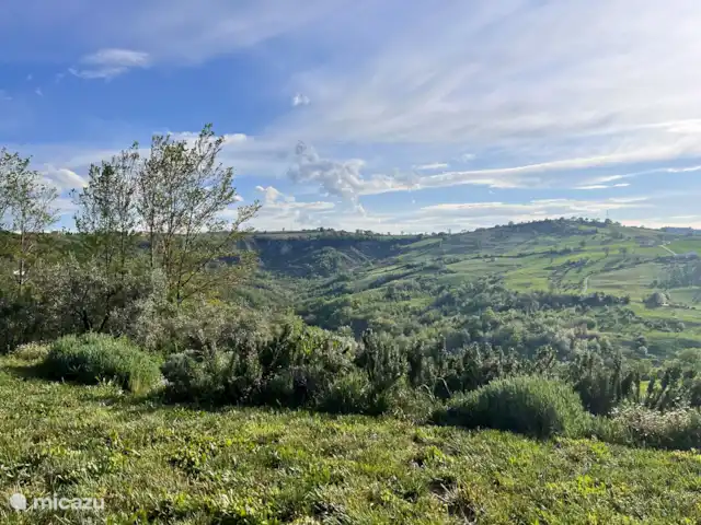 Villa Fiore | Italie, Marche, Falerone - villa Voir la Villa Fiore