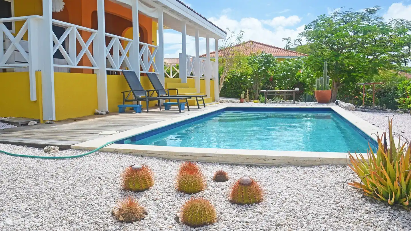 La terrasse en bois offre un espace pour se reposer dans les chaises longues le long de la piscine.