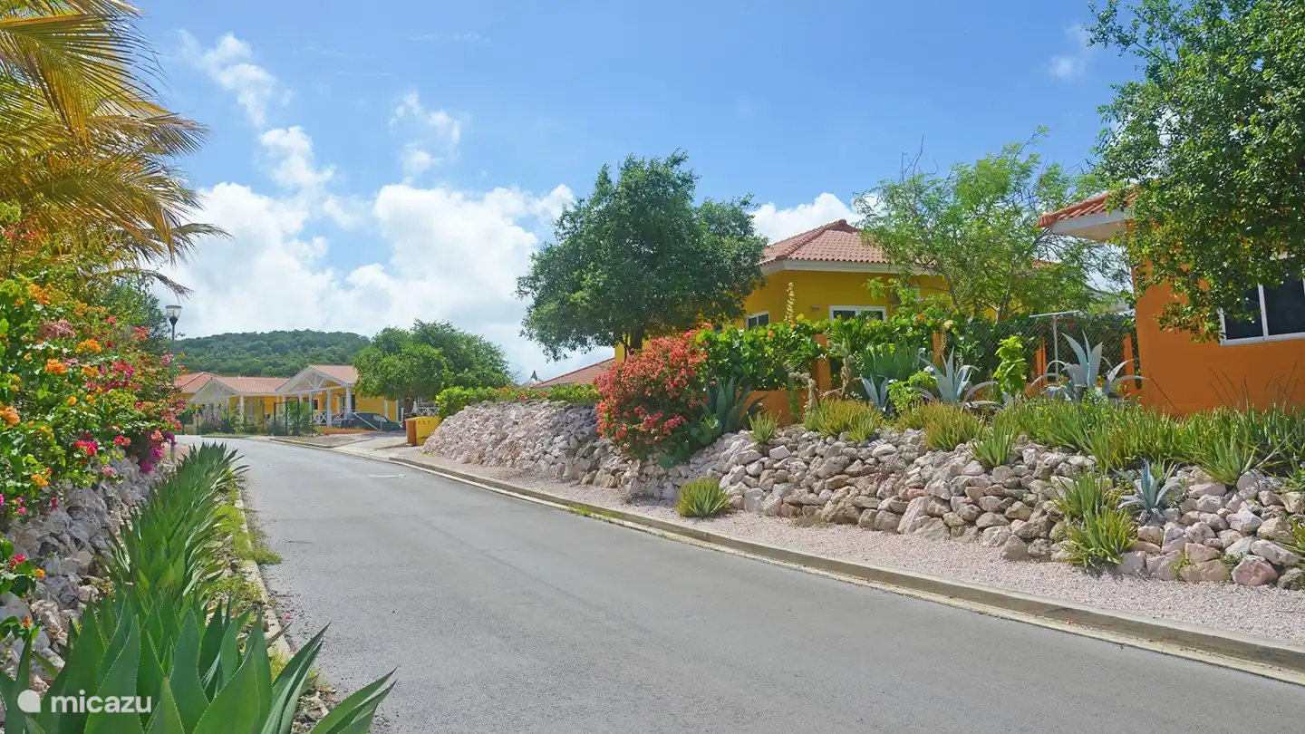 L'ensemble du parc de la villa a un aspect coloré et tropical.