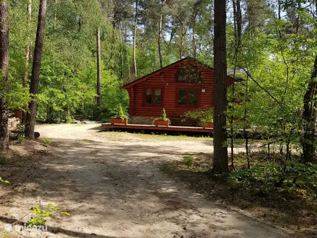 Loge de Lutter | Pays-Bas, Overijssel, De Lutte - cabane en bois / lodge