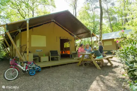 Vakantiehuis Nederland, Gelderland, Nunspeet glamping / safaritent / yurt Safaritent Nunspeet Vakantiehuis Nederland, Gelderland, Nunspeet glamping / safaritent / yurt Safaritent Nunspeet