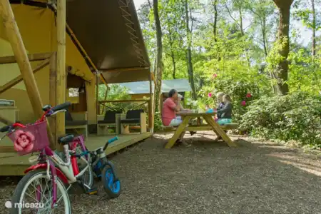 Vakantiehuis Nederland, Gelderland, Nunspeet glamping / safaritent / yurt Safaritent Nunspeet Safaritent