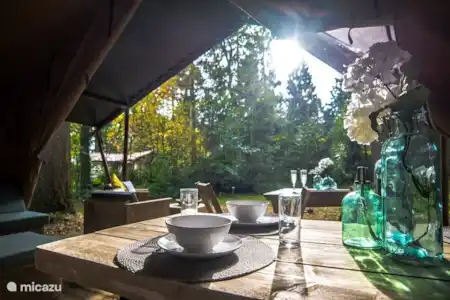 Vakantiehuis Nederland, Gelderland, Nunspeet glamping / safaritent / yurt Safaritent Nunspeet Uitzicht vanuit de tent