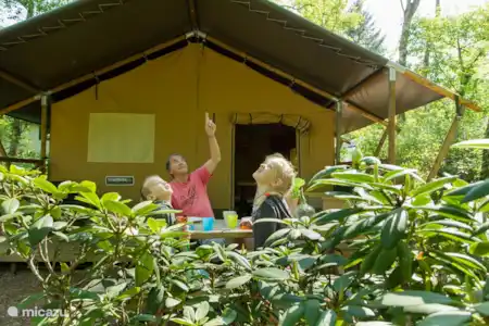 Vakantiehuis Nederland, Gelderland, Nunspeet glamping / safaritent / yurt Safaritent Nunspeet Ligging tent