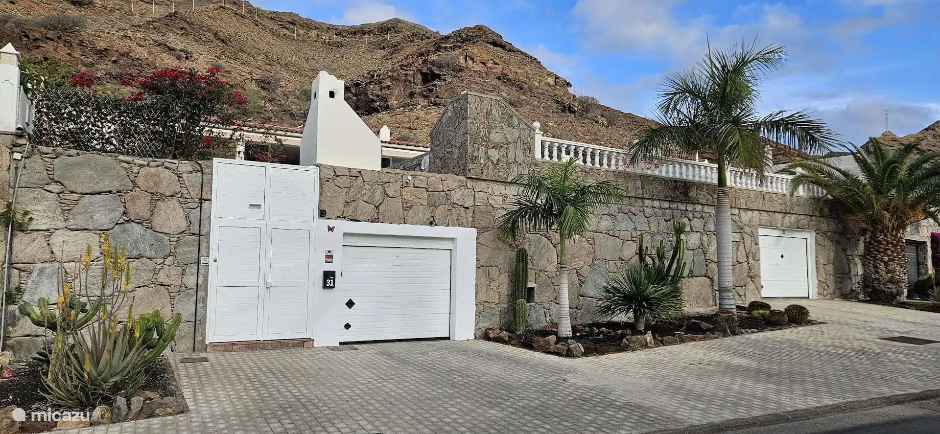 Entrée sur rue avec 2 garages