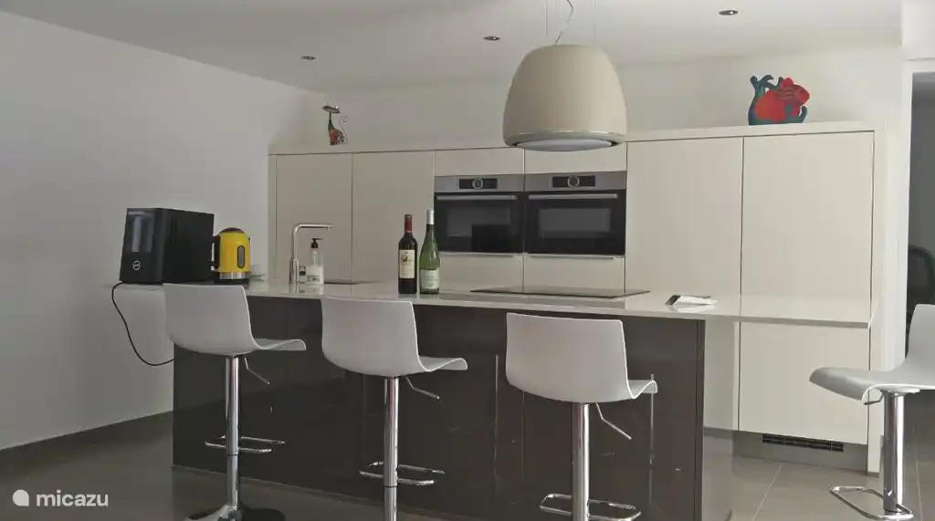 Cuisine avec lave-vaisselle, congélateur, grand réfrigérateur, four, micro-ondes.