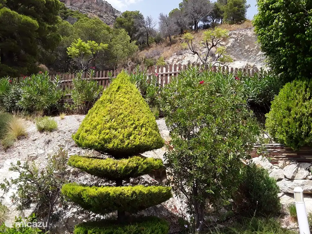 A part of the garden in Jardines.