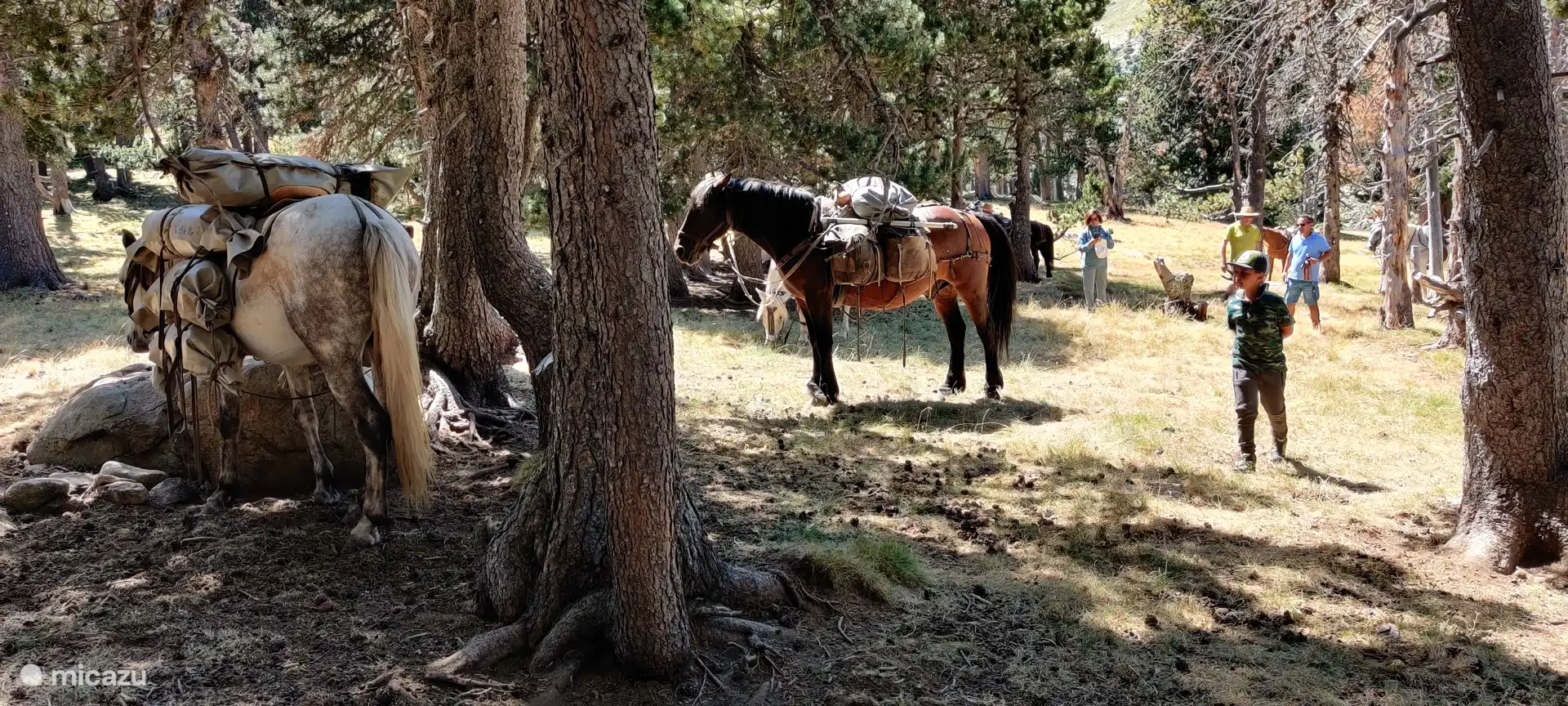 The Nohèdes nature reserve