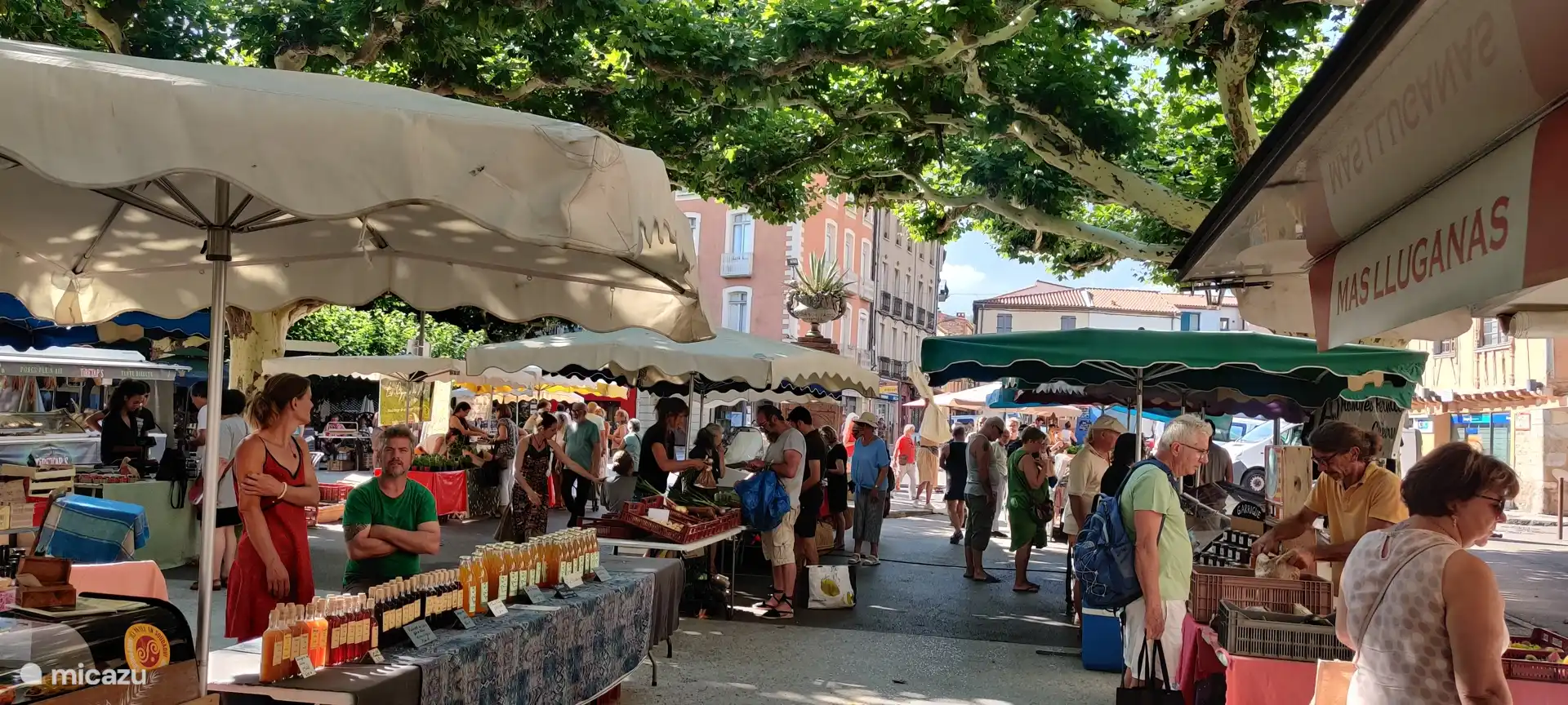 The weekly Tuesday market in Prades, the largest open market of the Pyrenées-Orièntales