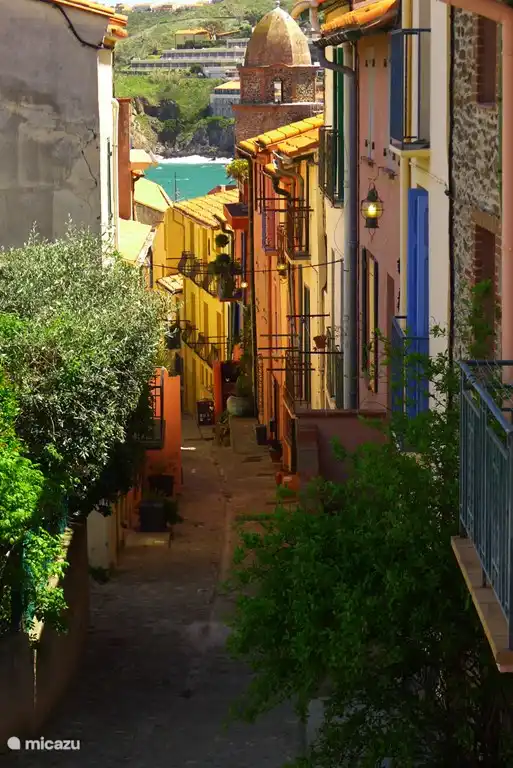 Die griechisch-romanische Hafenstadt Collioure 