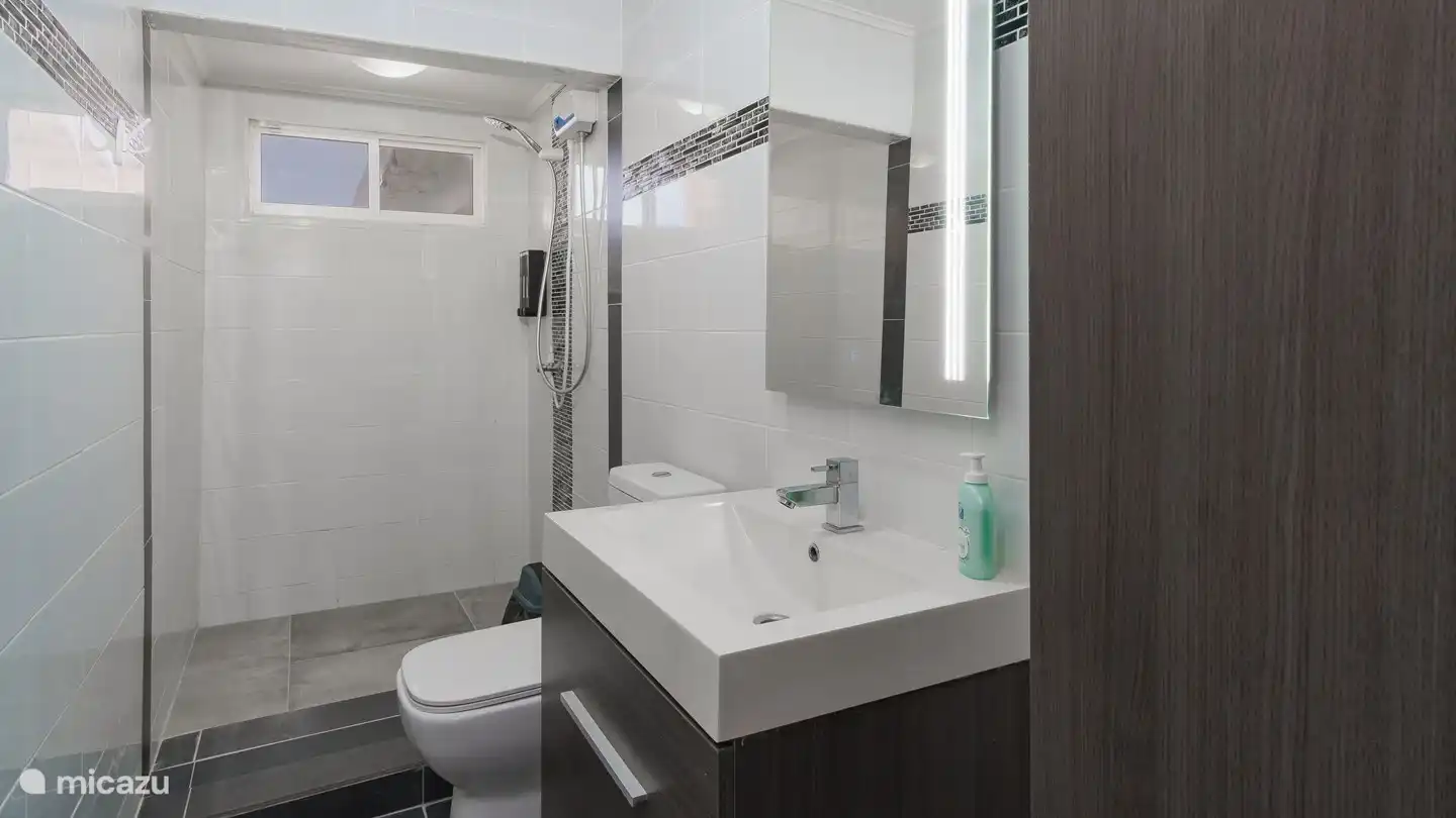 Salle de bain avec cloison vitrée (non visible sur la photo)