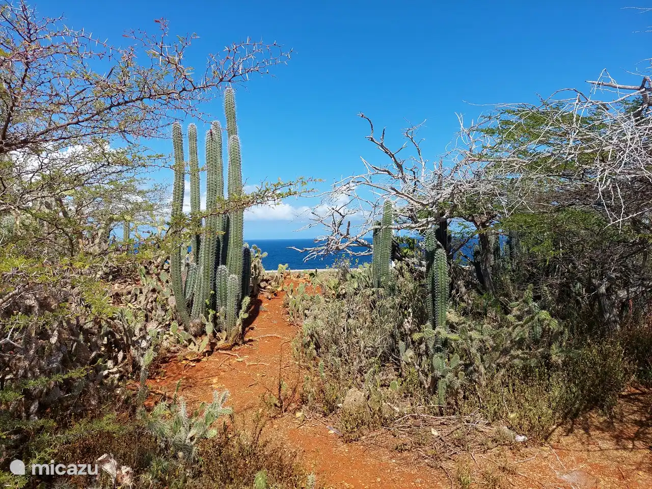 Il y a un sentier pédestre soigné à 100 mètres de la résidence, ce sentier pédestre mène d'un côté au point de vue / mirador. C'est un endroit fantastique pour se reposer, faire du jogging, s'étirer et se détendre avec une brise marine fraîche qui vous entoure.