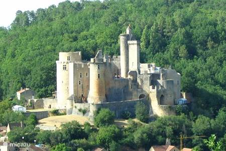 Chateau Bonaguil, 