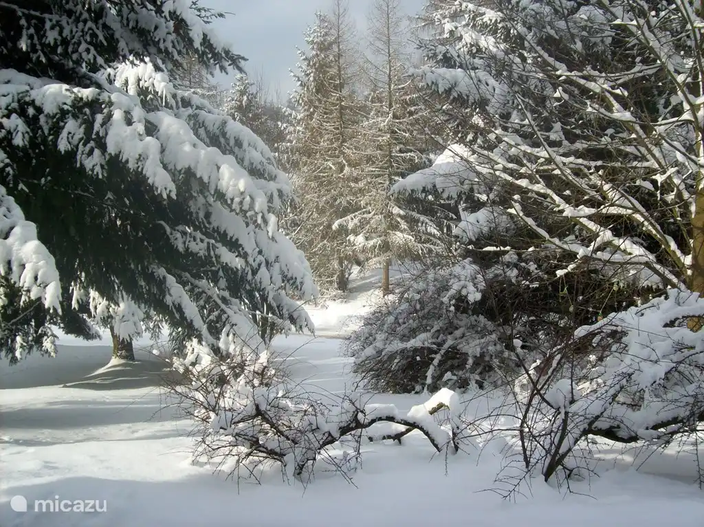 Winters uitzicht vanuit de woonkamer