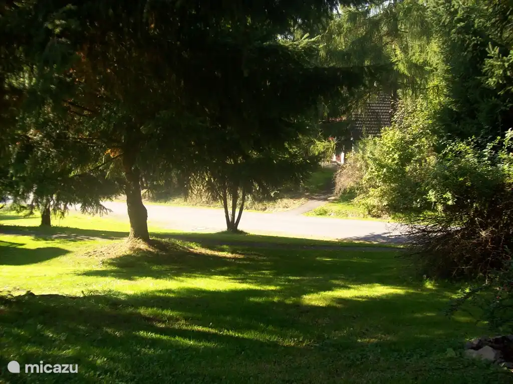 Uitzicht vanuit de woonkamer in de zomer