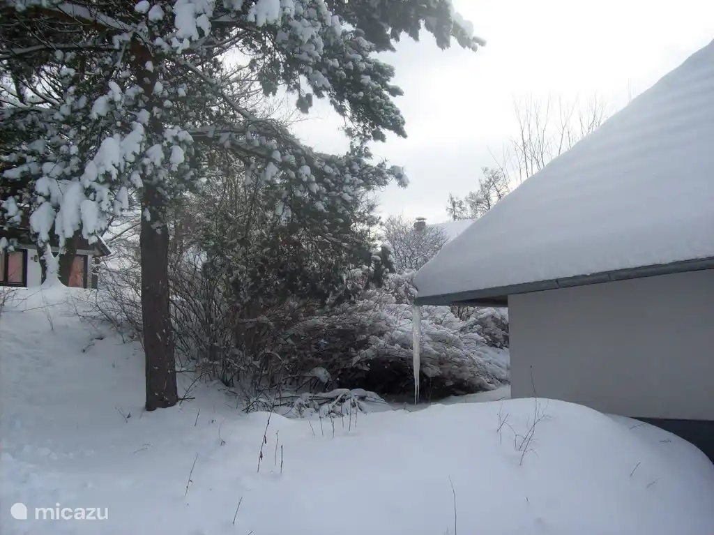 Het kan er goed vriezen!