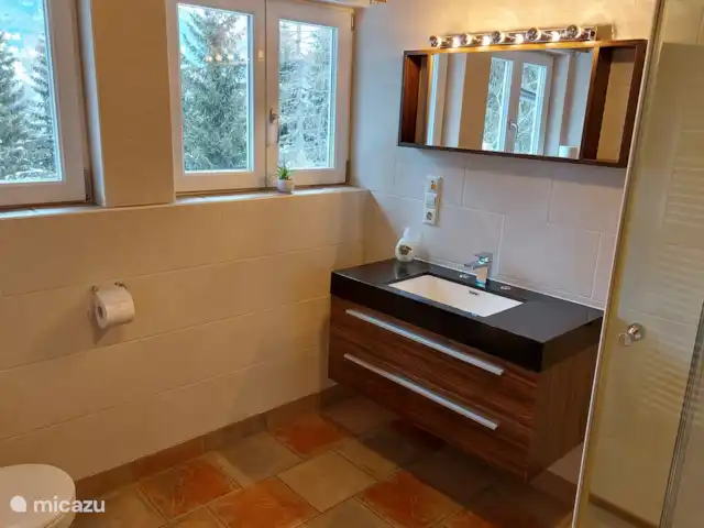 appartement huren in Oostenrijk, Salzburgerland, Sankt Michael Im Lungau – Aloisia, Appartement Speiereck Badkamer met uitzicht op de berg