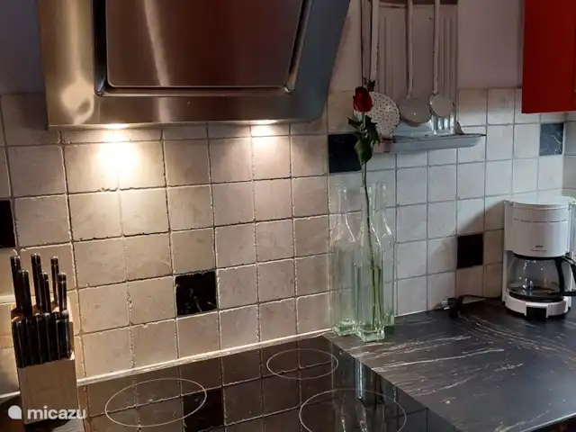 appartement huren in Oostenrijk, Salzburgerland, Sankt Michael Im Lungau – Aloisia, Appartement Speiereck De keuken van alle gemakken voorzien.