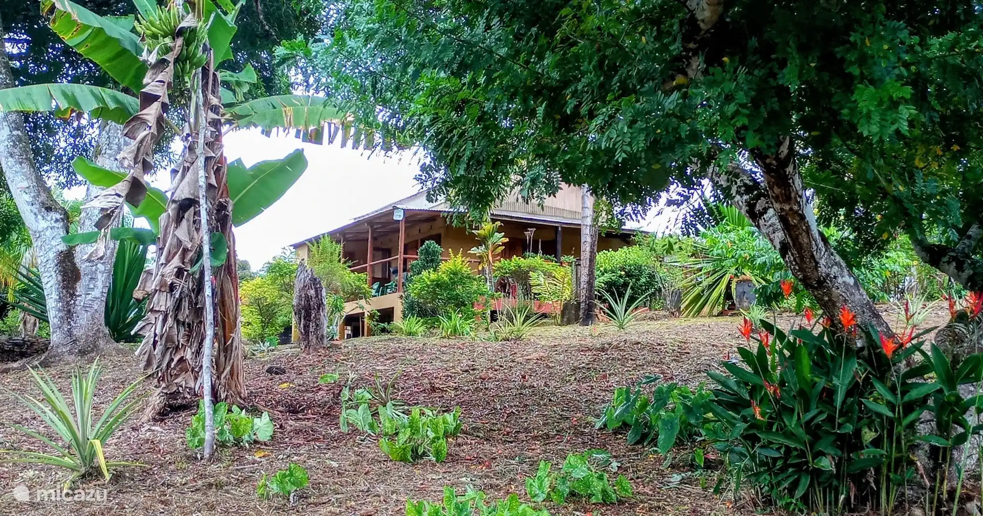 Cultura e Historia, Brasil, Bahía, Itacaré, casa de campo Fazenda São Jorge