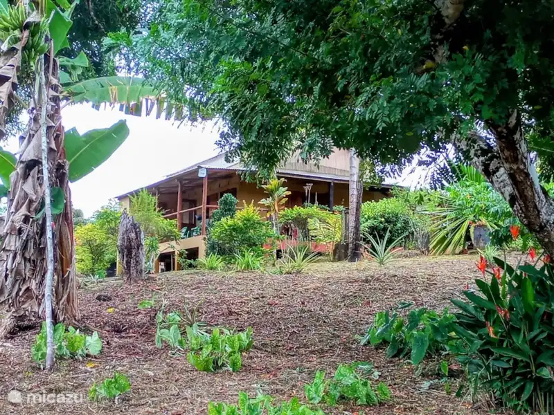 Fazenda São Jorge huren in Brazilië, Bahia, Itacaré - Boerderij Fazenda São Jorge huren in Brazilië, Bahia, Itacaré - Boerderij