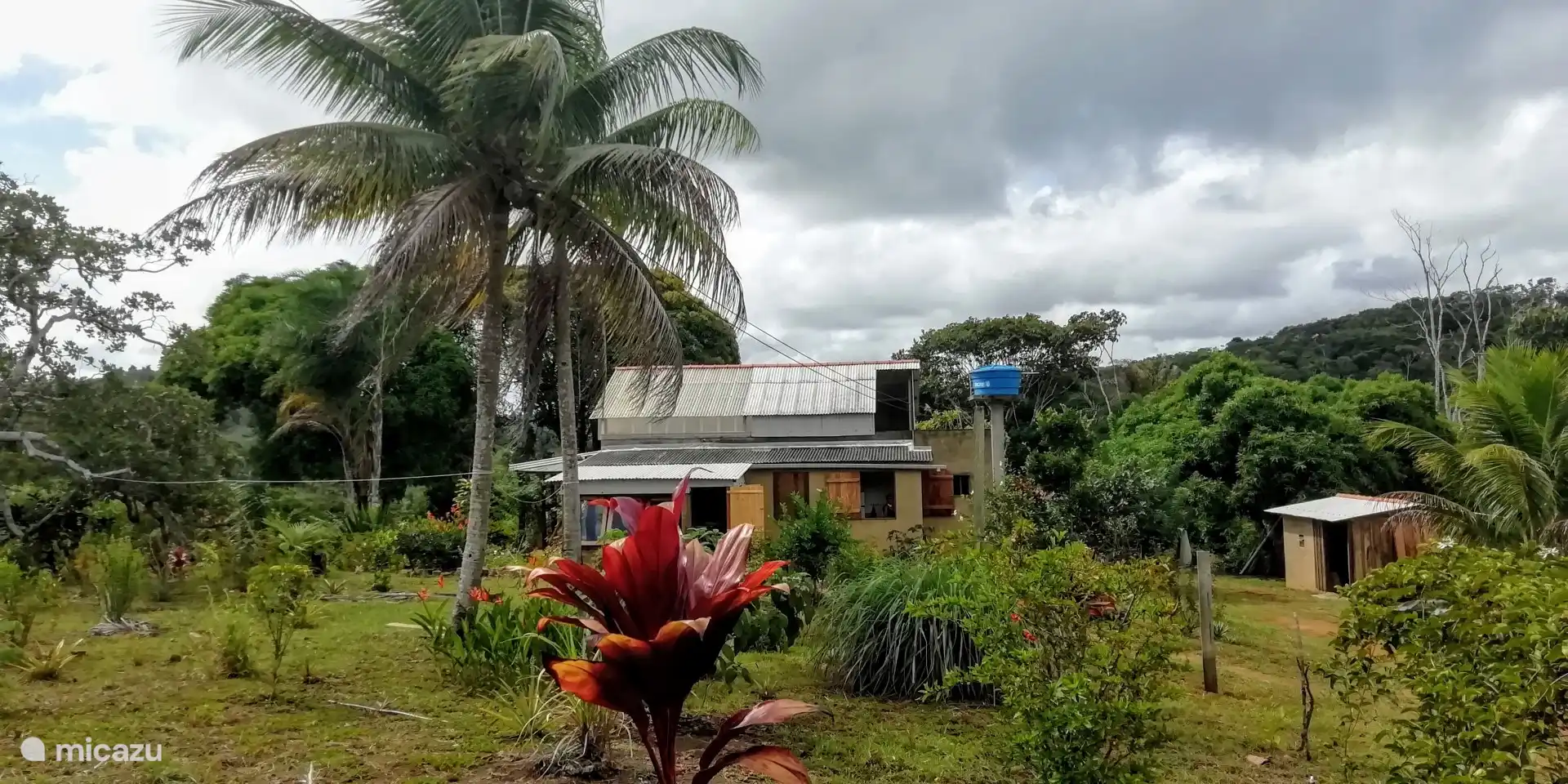 Vista de la granja desde la entrada a la plantación n.º 1