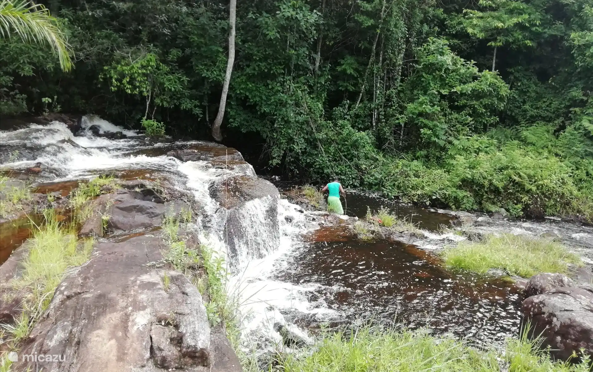 El cangrejo de río está clasificado como un manjar.