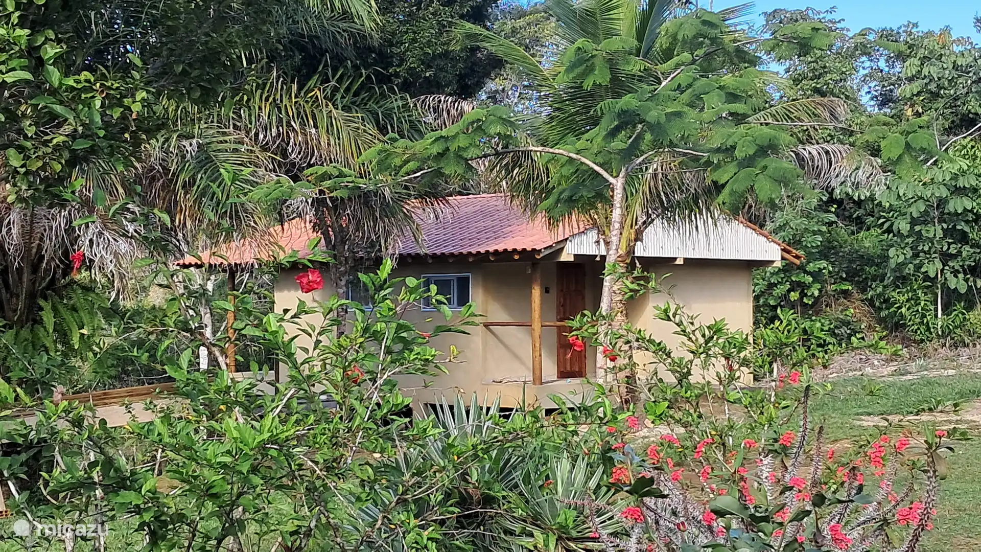 Budget, Brazilië, Bahia, Itacaré, boerderij Fazenda São Jorge - Farm stay