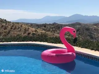 Vom Pool aus haben Sie einen herrlichen Blick auf die Sierra de las Nieves und warten, bis Sie den Sonnenuntergang gesehen haben!