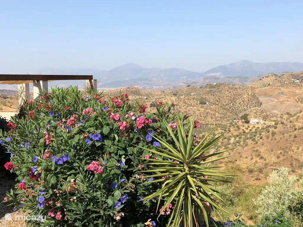 Zomer in Andalusië.