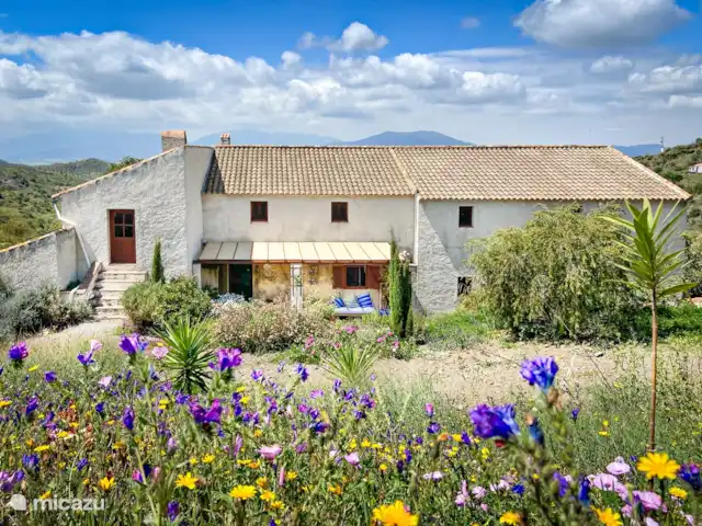 Finca Las Nuevas, Casa Carmen | Espagne, Andalousie, Álora - ferme Finca Las Nuevas est une oliveraie centenaire