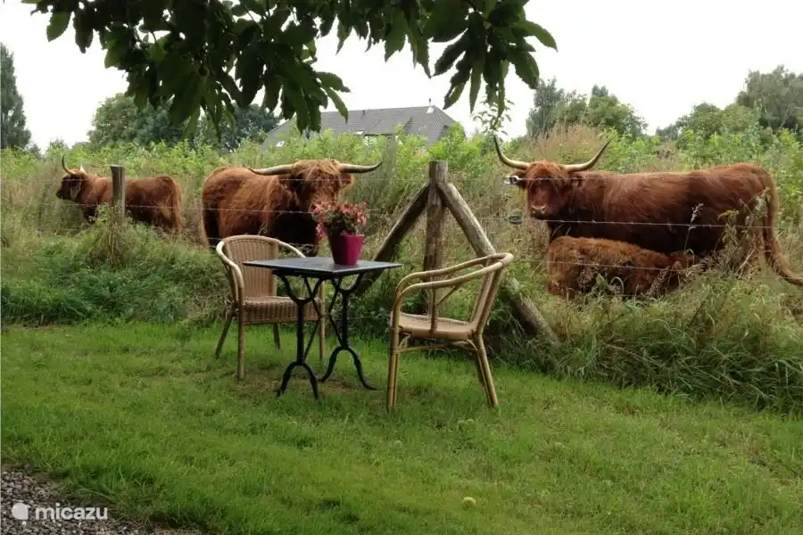 Habitantes de las Tierras Altas