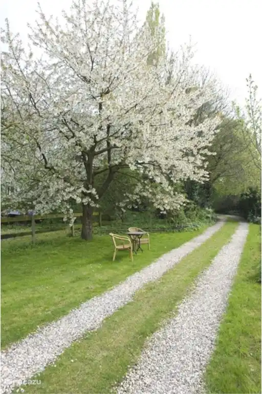 Asiento en el jardín