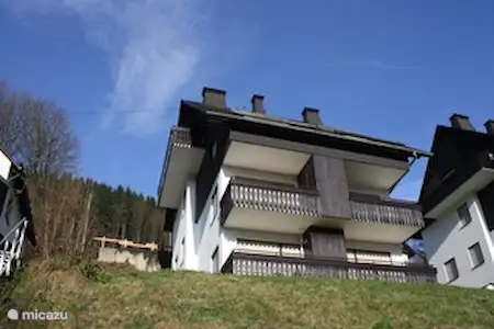 Vakantiehuis Duitsland, Sauerland, Schmallenberg appartement Ferienwohnung Markus Vakantiehuis Duitsland, Sauerland, Schmallenberg appartement Ferienwohnung Markus