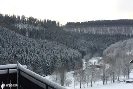 Vakantiehuis Duitsland, Sauerland, Schmallenberg appartement Ferienwohnung Markus Uitzicht winter