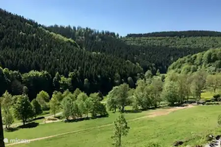 Vakantiehuis Duitsland, Sauerland, Schmallenberg appartement Ferienwohnung Markus Uitzicht zomer