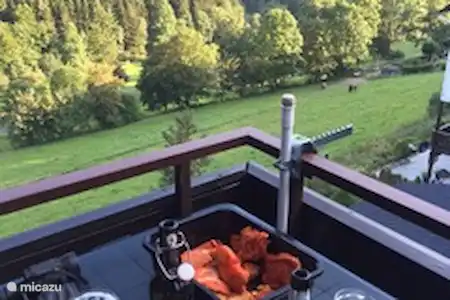 Vakantiehuis Duitsland, Sauerland, Schmallenberg appartement Ferienwohnung Markus Uitzicht