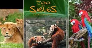 Ein Besuch des ganz nahen Zoos von Les Sables d'Olonne lohnt sich auf jeden Fall.