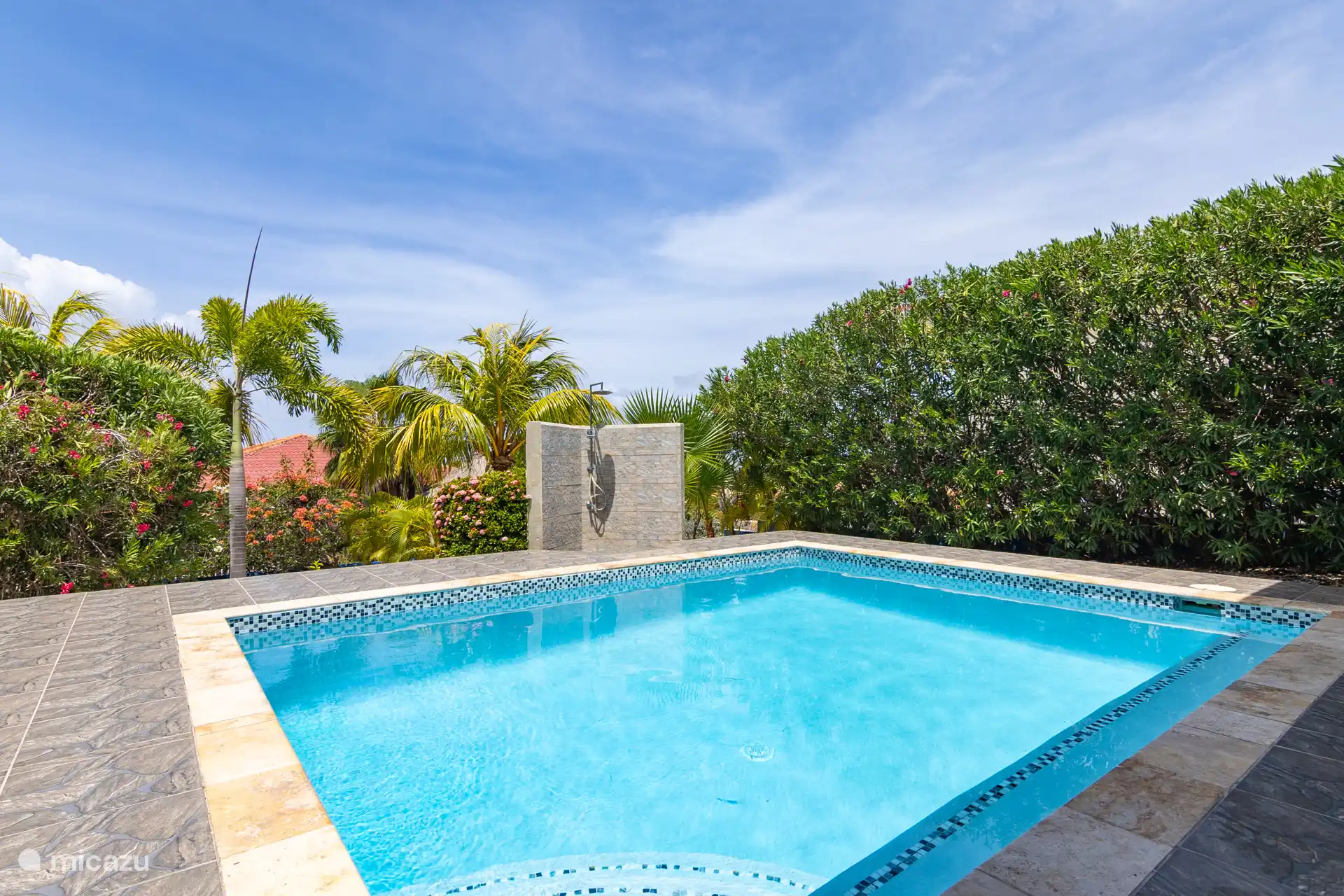 Vue d’ensemble de la piscine