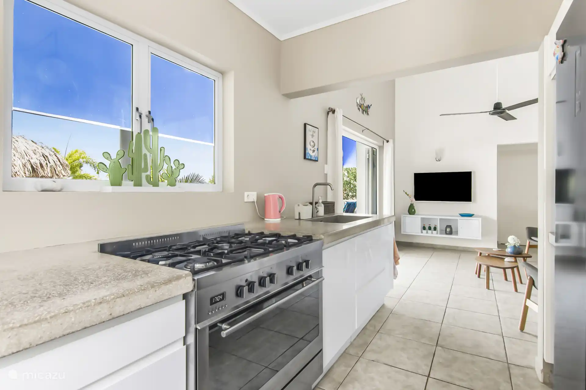 Cuisine professionnelle