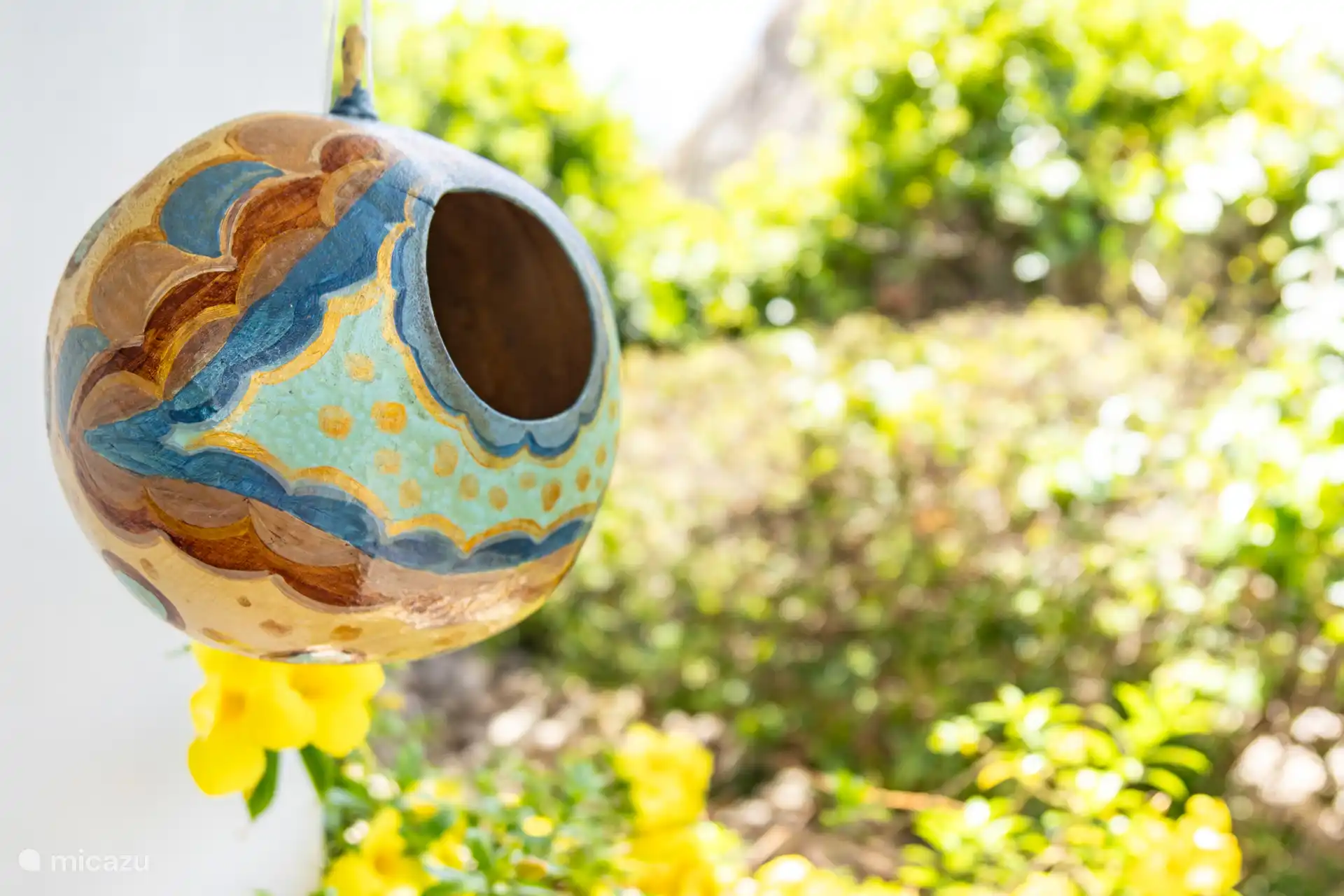 Nourriture pour les Bananaquits