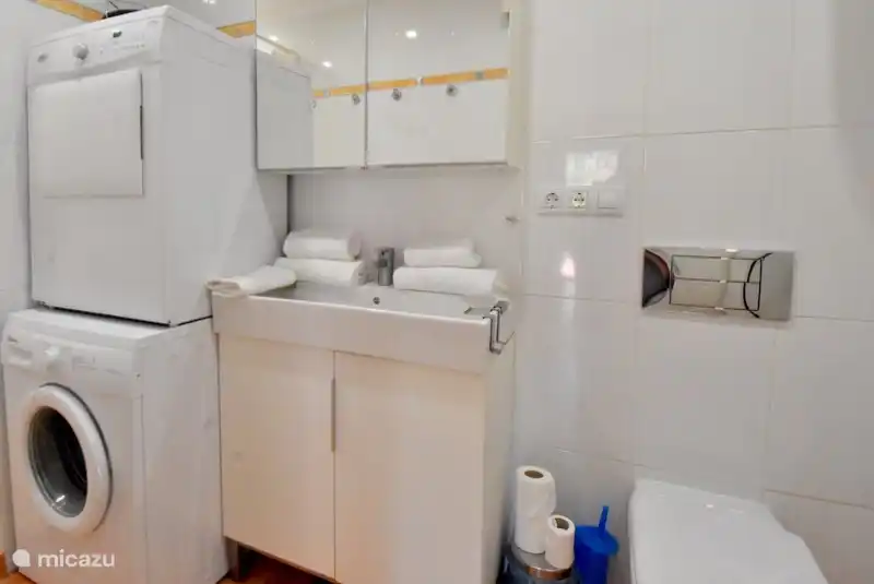 Bathroom with walk-in shower, and washing and steam engine.