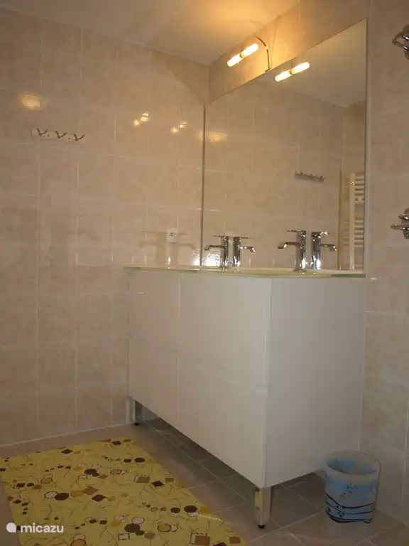 Salle de bain au rez-de-chaussée.